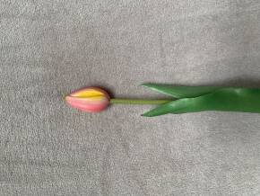 Sztuczne kwiaty i trawy