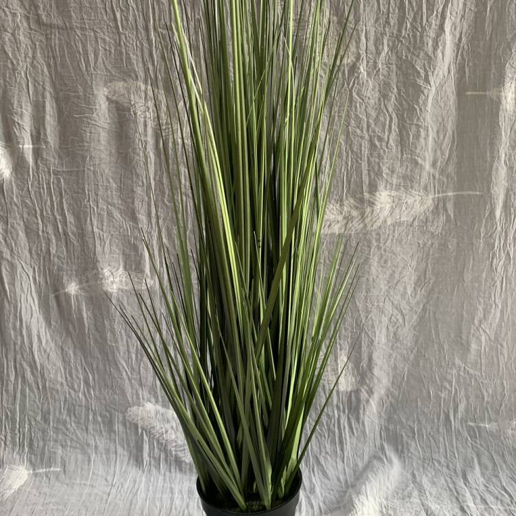 Trawa 80 cm