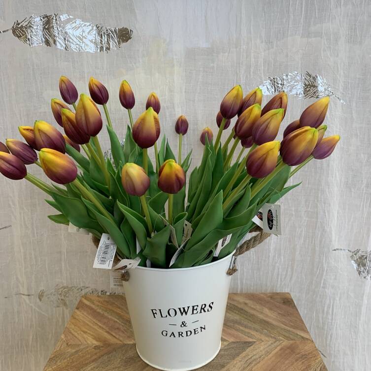 Tulipany