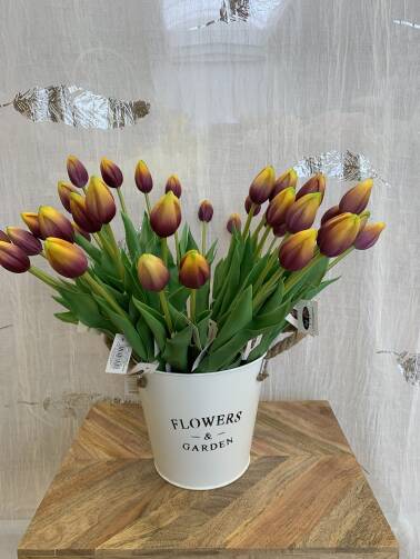 Tulipany
