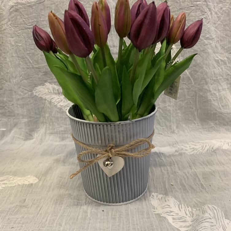 Osłonka