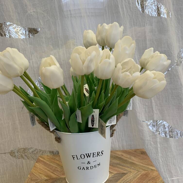 Tulipany