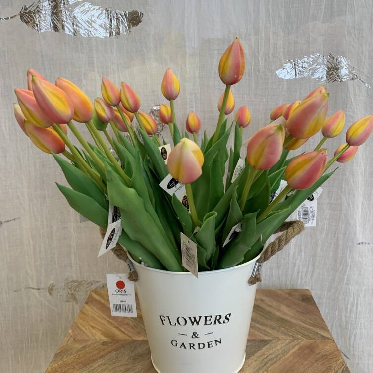 Tulipany