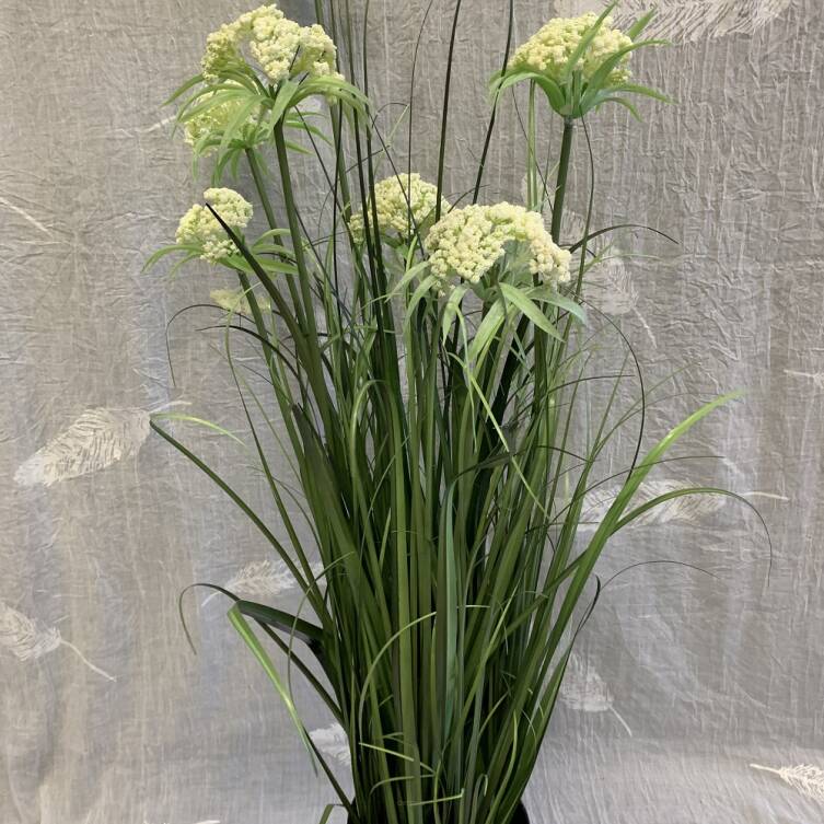 Trawa 80 cm