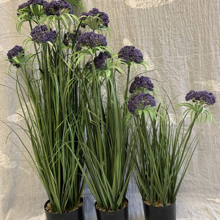 Trawa 90 cm