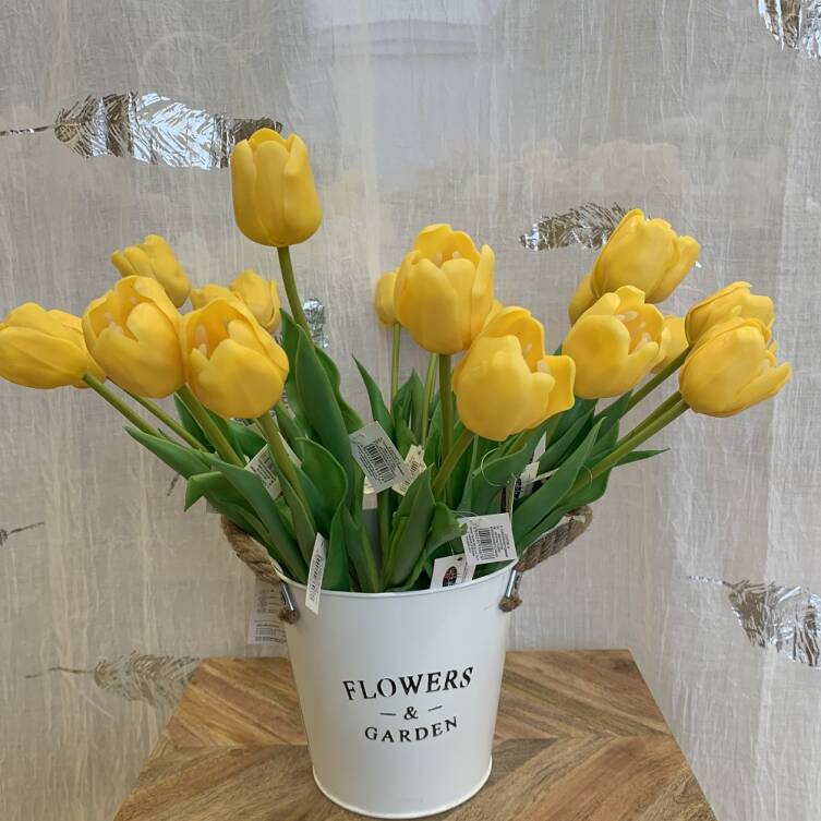 Tulipany