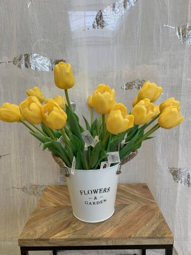 Tulipany