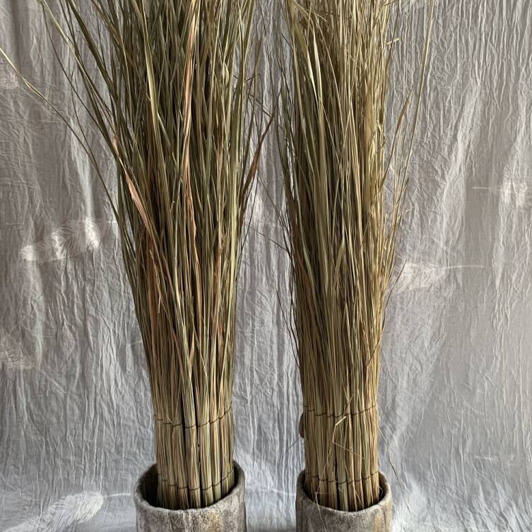 Trawa 110 cm