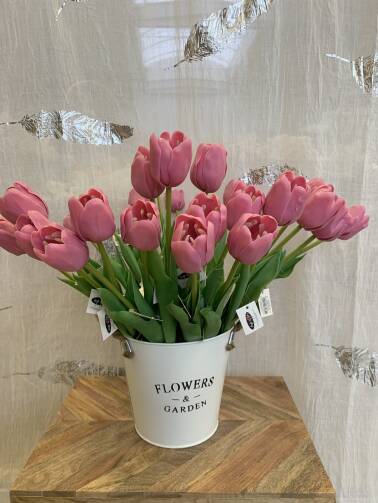 Tulipany