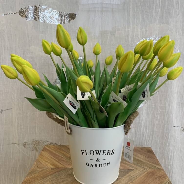 Tulipany