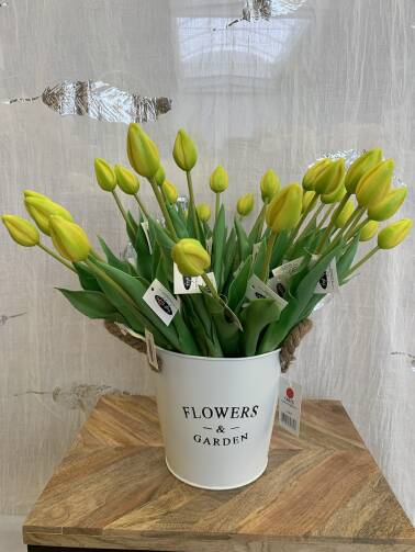 Tulipany