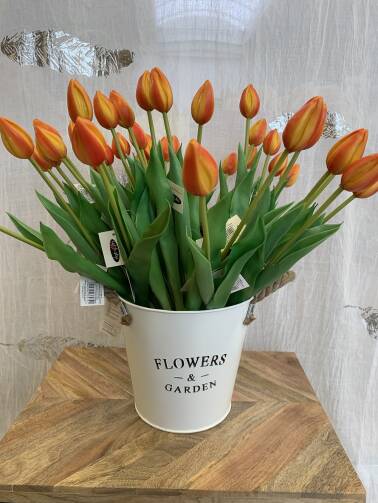 Tulipany