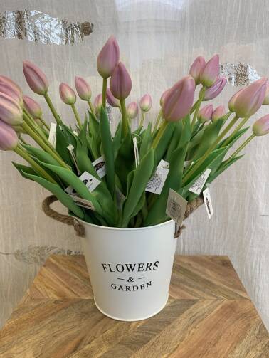 Tulipany