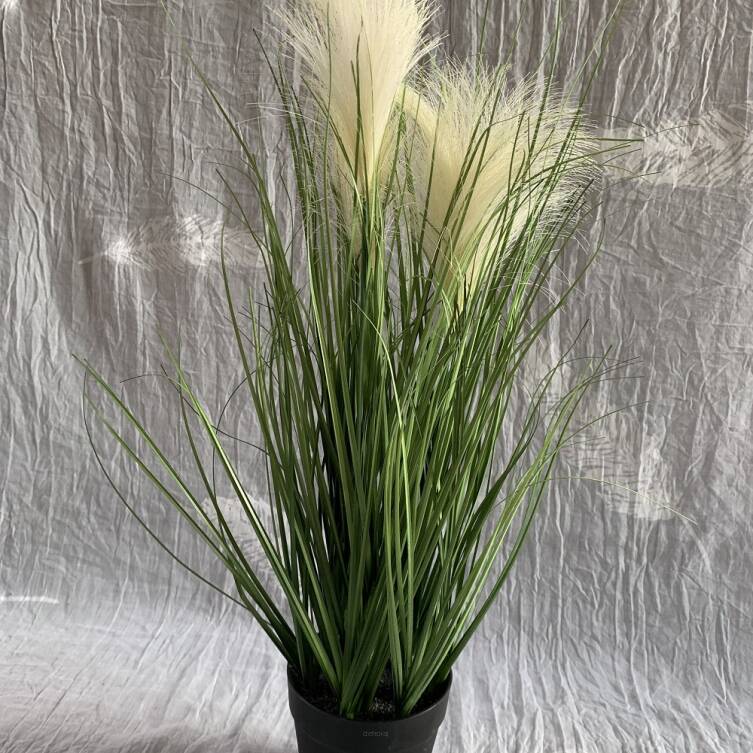 Trawa 45 cm