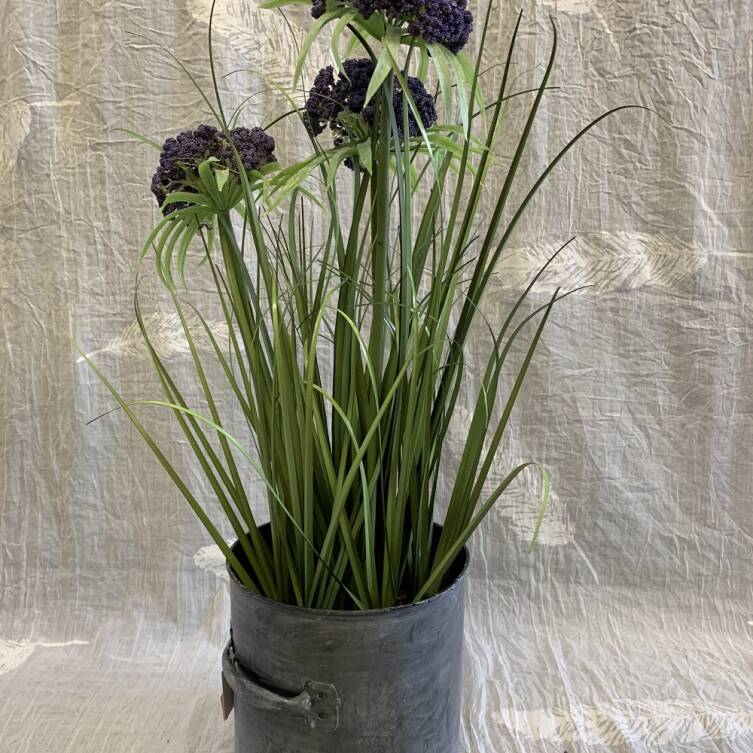 Trawa 60 cm