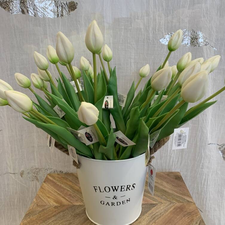 Tulipany