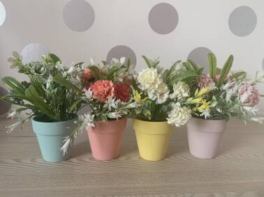 Bukiety w doniczce