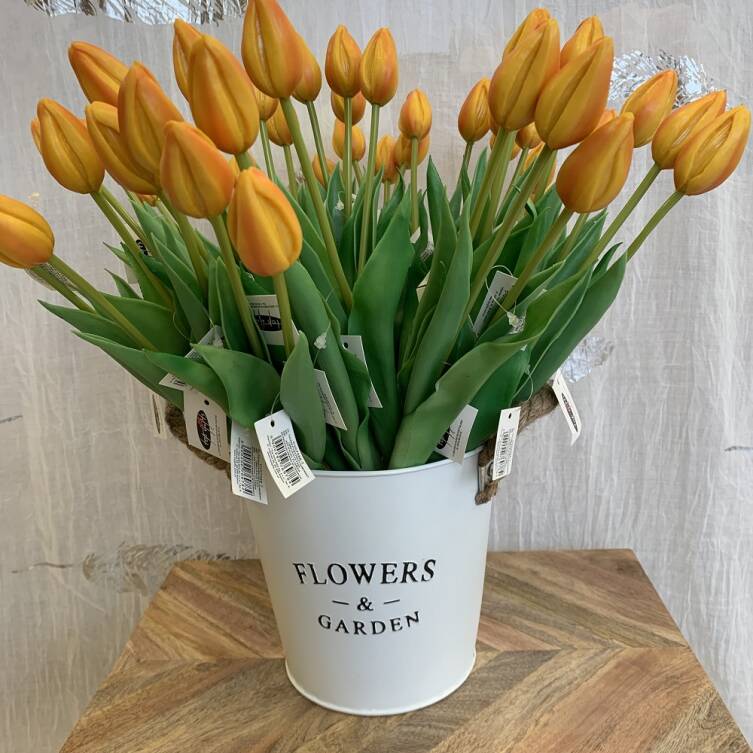 Tulipany