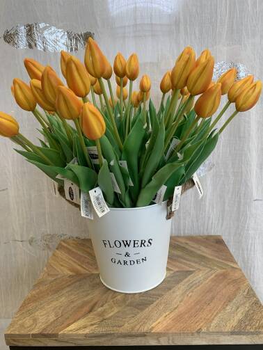 Tulipany