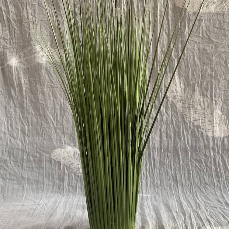 Trawa 40 cm
