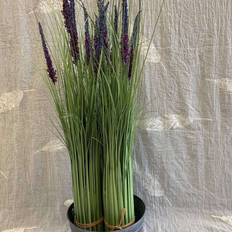 Trawa 82 cm